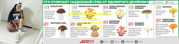 прущий лед Абаза