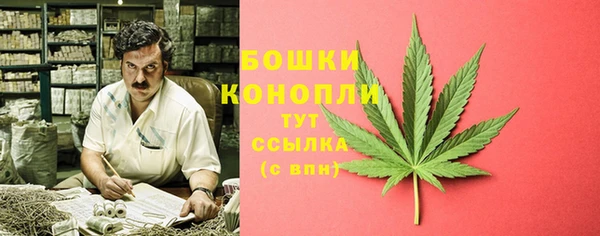 крисы Абдулино