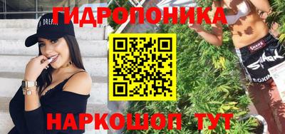 сатива Новодвинск