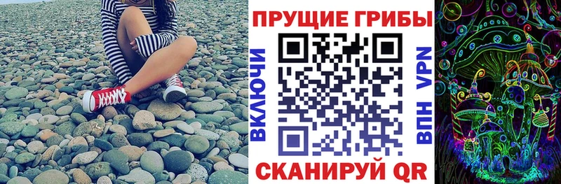 Псилоцибиновые грибы Psilocybe  Хасавюрт 