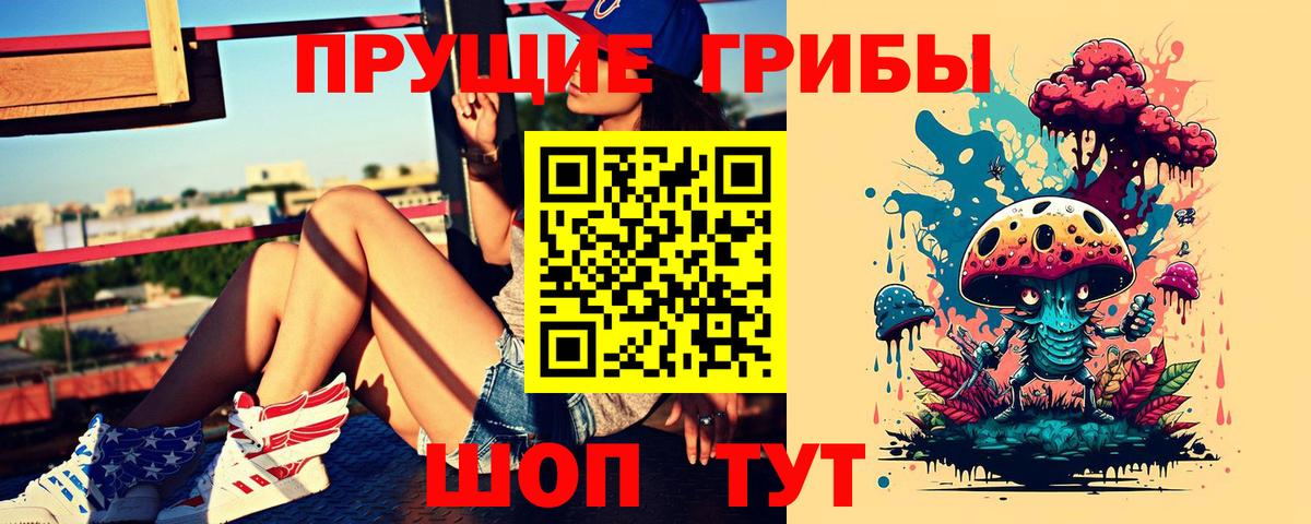 Галлюциногенные грибы прущие грибы Хасавюрт
