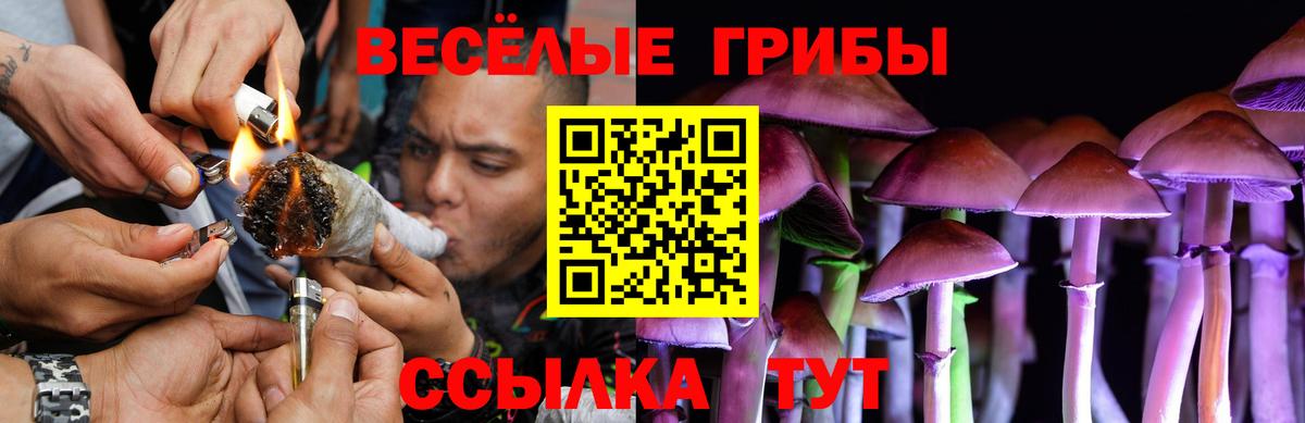 Псилоцибиновые грибы Psilocybine cubensis  Галлюциногенные грибы прущие грибы  где найти   Хасавюрт  Вход с VPN 