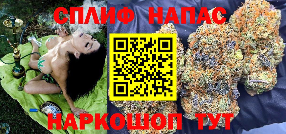 Бошки Шишки планчик  Вход с VPN  Хасавюрт  Бошки марихуана гибрид  МАРИХУАНА конопля 